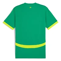 Soccer National Teams Senegal Team 2025 Away Replica Jersey