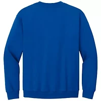 NASCAR Chase Elliott Name & Number Sweatshirt