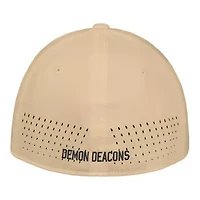 NCAA Nike Wake Forest Demon Deacons 2025 On-Field Performance Flex Hat