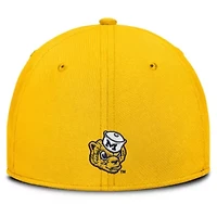 NCAA Nike Michigan Wolverines Rise Academic Dri-FIT Flex Hat