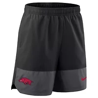 NCAA Nike Arkansas Razorbacks 2025 Sideline Dri-FIT Shorts