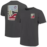NCAA Arkansas Razorbacks Minimal Vista Distressed Graphics T-Shirt