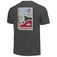 NCAA Arkansas Razorbacks Minimal Vista Distressed Graphics T-Shirt