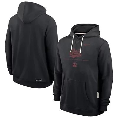 NCAA Nike Montana Grizzlies 2025 Sideline Standard Issue Dri-FIT Hoodie