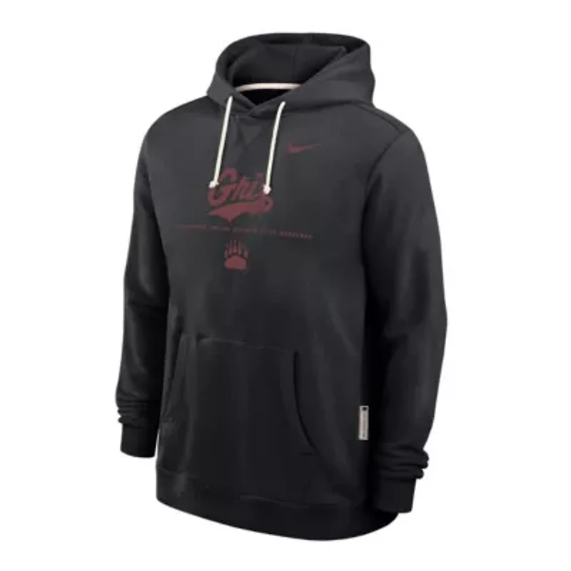 NCAA Nike Montana Grizzlies 2025 Sideline Standard Issue Dri-FIT Hoodie