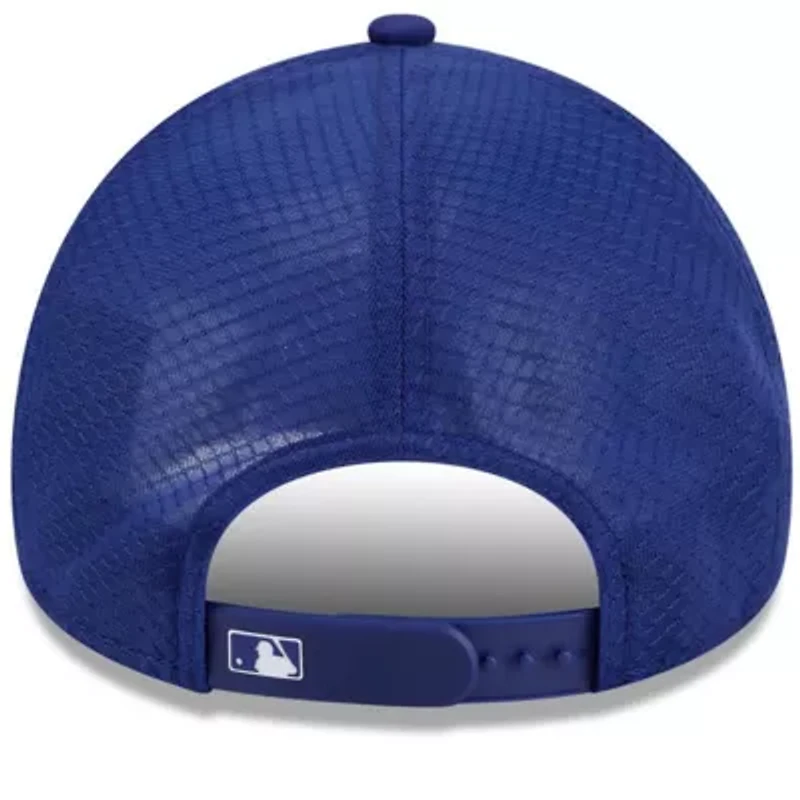 MLB Los Angeles Dodgers 2026 Batting Practice Alternate Apex 9FORTY Adjustable Hat