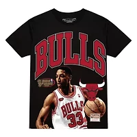 NBA Scottie Pippen Chicago Bulls Hardwood Classics Player Arch T-Shirt