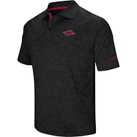 NCAA Arkansas Razorbacks Down Swing Polo
