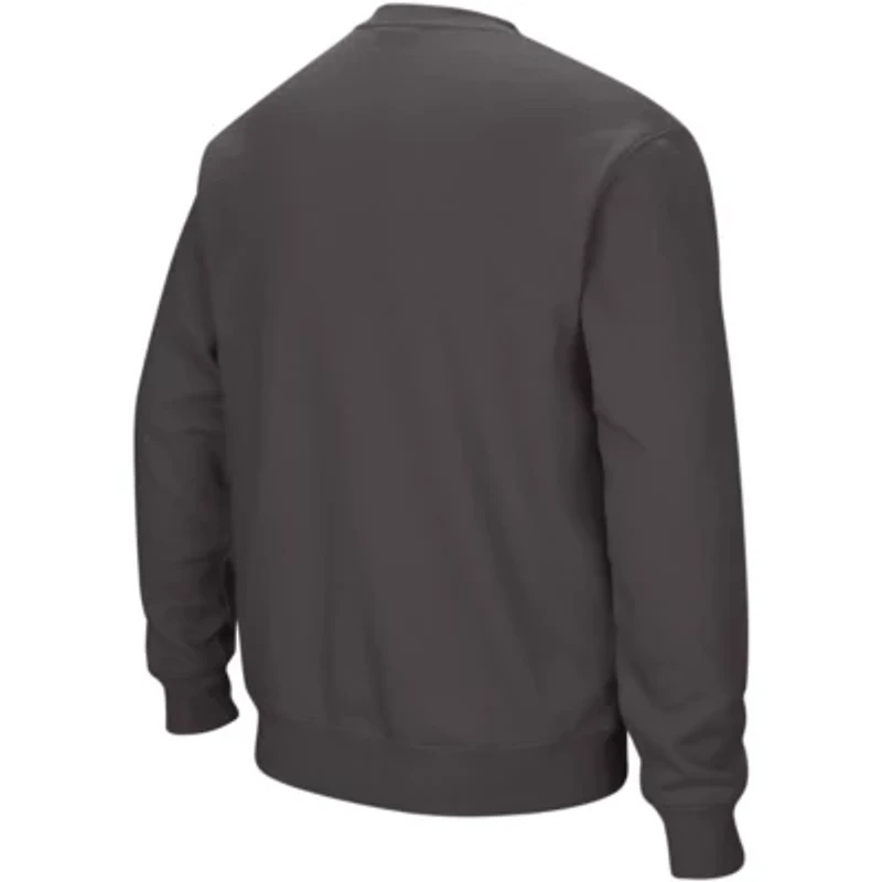 NCAA Illinois Fighting Illini Arch & Logo Crew Neck Sweatshirt