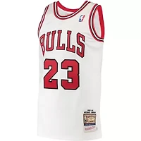 NBA Michael Jordan Chicago Bulls 1995 Hardwood Classics Authentic Jersey