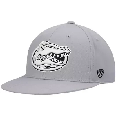 NCAA Florida Gators Fitted Hat