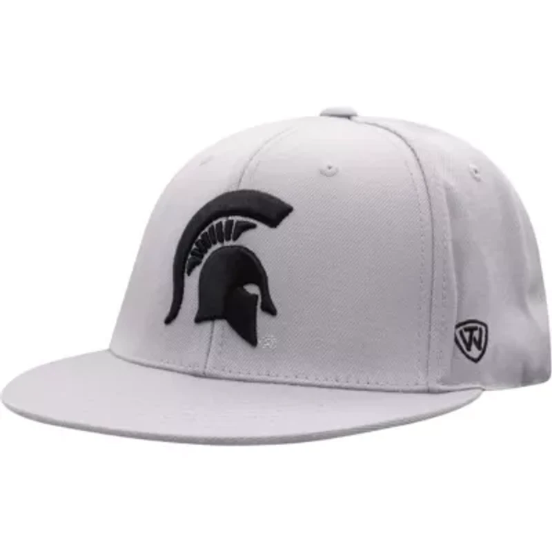 NCAA Michigan State Spartans Fitted Hat