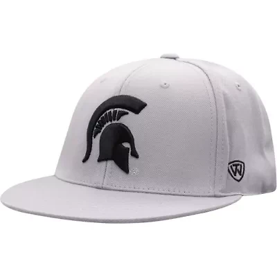 NCAA Michigan State Spartans Fitted Hat