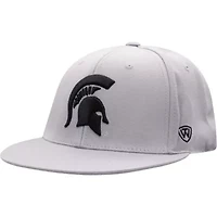 NCAA Michigan State Spartans Fitted Hat
