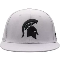 NCAA Michigan State Spartans Fitted Hat