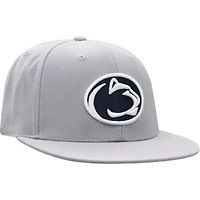 NCAA Penn State Nittany Lions Fitted Hat