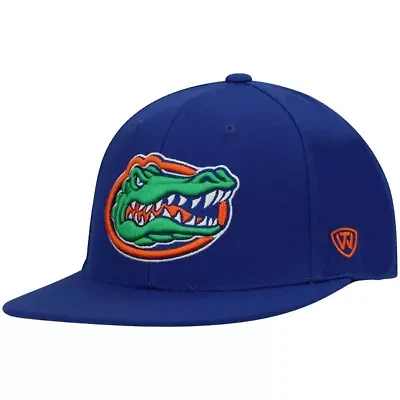NCAA Florida Gators Team Color Fitted Hat