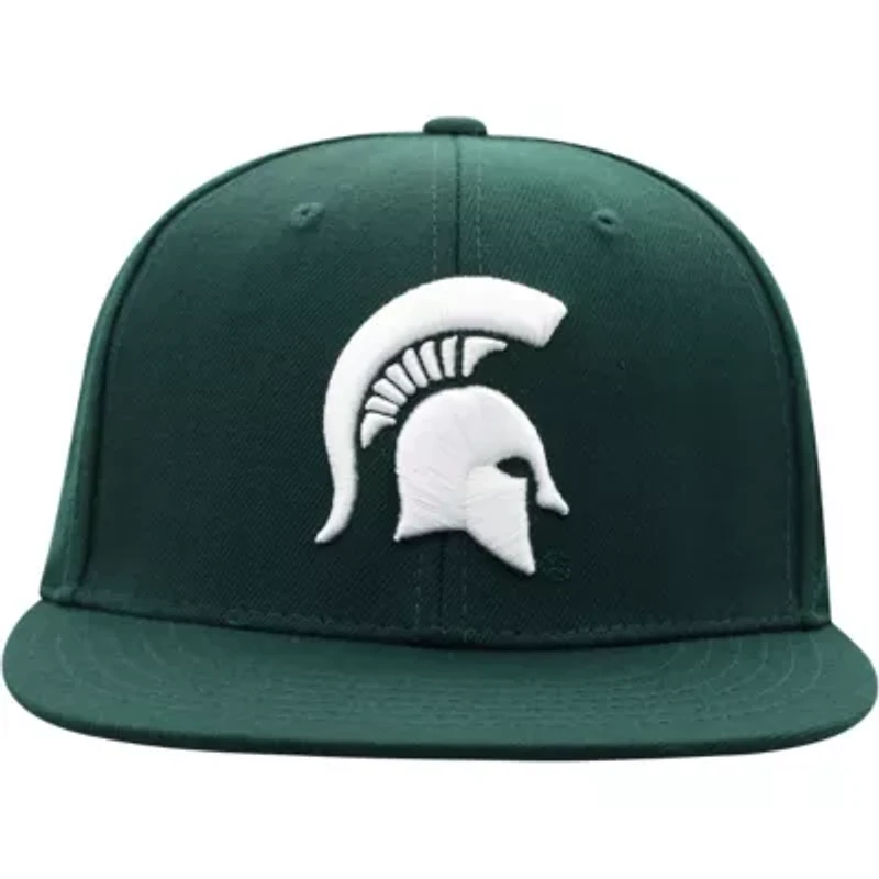 NCAA Michigan State Spartans Team Color Fitted Hat