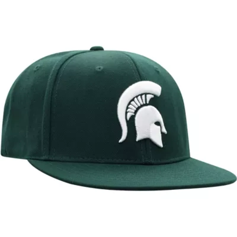 NCAA Michigan State Spartans Team Color Fitted Hat