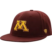 NCAA Minnesota Golden Gophers Team Color Fitted Hat