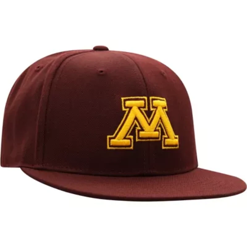 NCAA Minnesota Golden Gophers Team Color Fitted Hat