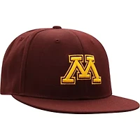 NCAA Minnesota Golden Gophers Team Color Fitted Hat