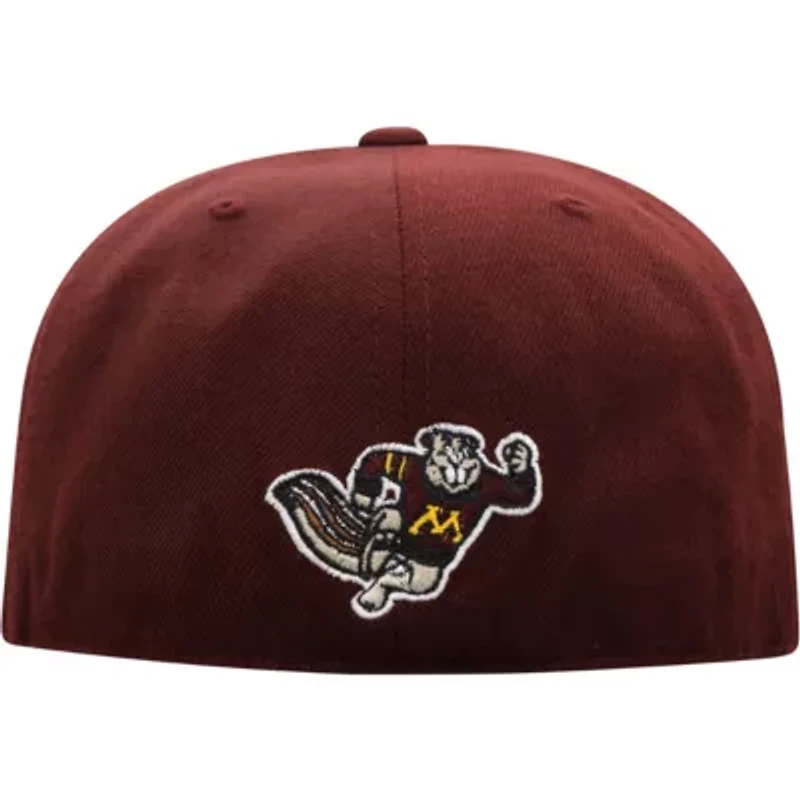 NCAA Minnesota Golden Gophers Team Color Fitted Hat