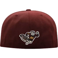NCAA Minnesota Golden Gophers Team Color Fitted Hat