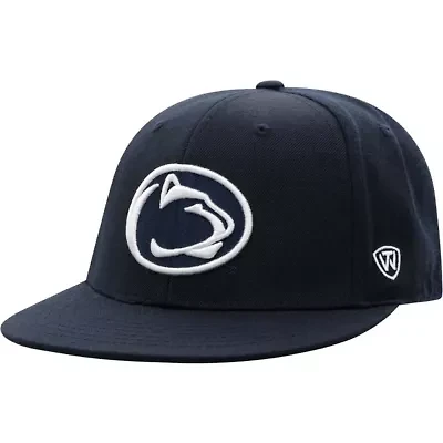 NCAA Penn State Nittany Lions Team Color Fitted Hat