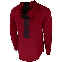 NCAA Nike Arkansas Razorbacks 2-Hit Performance Pullover Hoodie