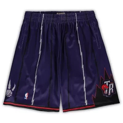NBA Toronto Raptors Big & Tall Hardwood Classics Team Swingman Shorts