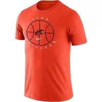 NCAA Nike Florida A&M Rattlers Basketball Icon Legend Performance T-Shirt