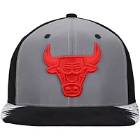 NBA Silver/Gray Chicago Bulls Day 5 Snapback Hat