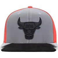 NBA Gray/Red Chicago Bulls Day 5 Snapback Hat