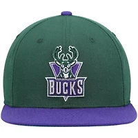 NBA Green/Purple Milwaukee Bucks Hardwood Classics Team Two-Tone 2.0 Snapback Hat