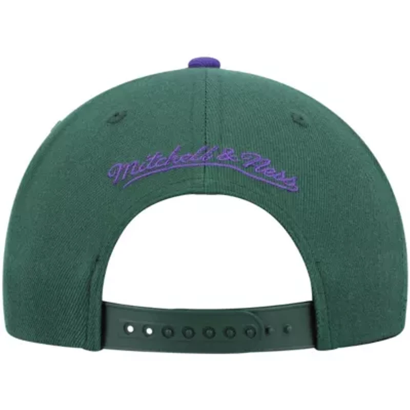 NBA Green/Purple Milwaukee Bucks Hardwood Classics Team Two-Tone 2.0 Snapback Hat