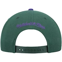 NBA Green/Purple Milwaukee Bucks Hardwood Classics Team Two-Tone 2.0 Snapback Hat