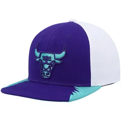 NBA Chicago Bulls Day 5 Snapback Hat