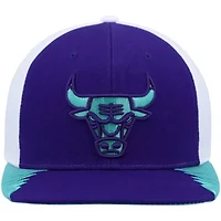 NBA Chicago Bulls Day 5 Snapback Hat