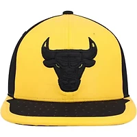 NBA Yellow/Black Chicago Bulls Day One Snapback Hat