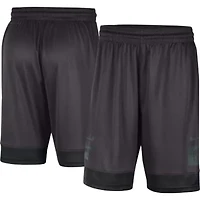 NCAA Nike Michigan State Spartans Performance Fast Break Shorts