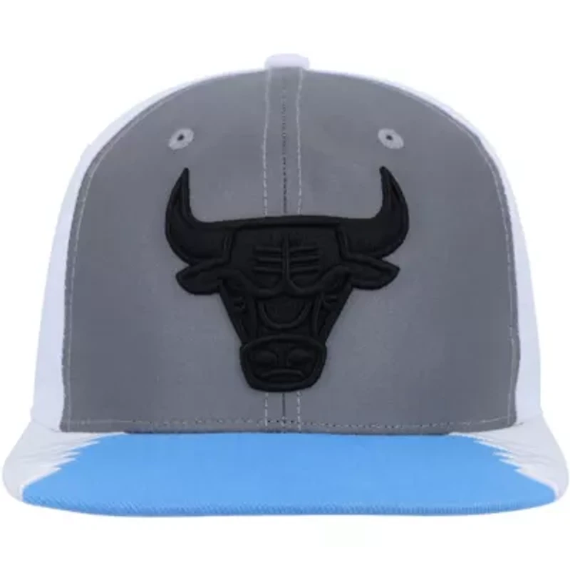 NBA Silver/Blue Chicago Bulls Day 5 Snapback Hat