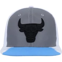 NBA Silver/Blue Chicago Bulls Day 5 Snapback Hat