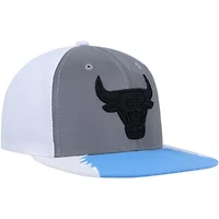 NBA Silver/Blue Chicago Bulls Day 5 Snapback Hat