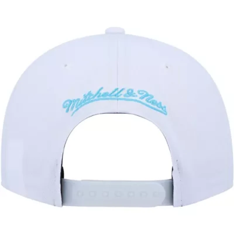 NBA Silver/Blue Chicago Bulls Day 5 Snapback Hat