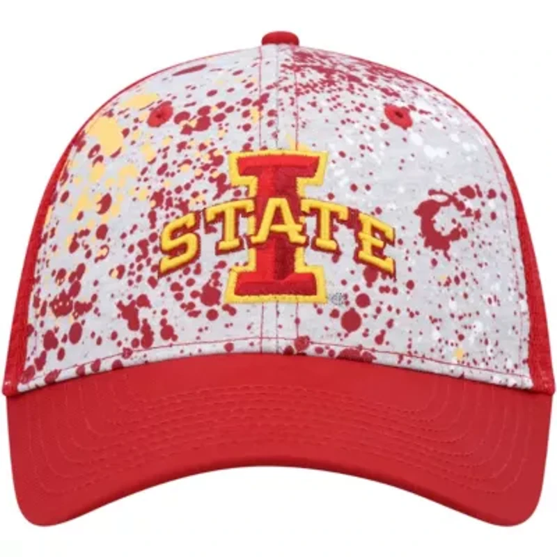NCAA Gray/Cardinal Iowa State Cyclones Love Fern Trucker Snapback Hat