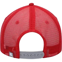 NCAA Gray/Cardinal Iowa State Cyclones Love Fern Trucker Snapback Hat