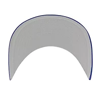 MLB Los Angeles Dodgers Backhaul Foam Trucker Snapback Hat