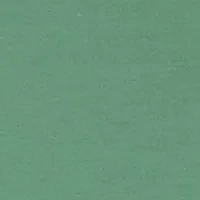 Men's Skipjack Facts Long Sleeve Graphic T-Shirt