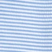 Men's Ocean Breeze Seersucker Swim Shorts